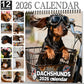 🔥LAST DAY 60% OFF💥2026 Cute Dachshund Wall Calendar – 12-Month Planner, Perfect Christmas & New Year Gift