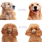 🐕 Last Day Special Price !  🏆 Professional Deshedding Tool For Dogs And Cats – Gentle On Skin, Efficient Grooming & Comfortable Grip Design ✂️