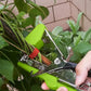 ✈️FREE SHIPPING🔥Garden Bundled Branch Tool