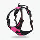 📢📢50% OFF !! ⏰ Adjustable Dual-Clip Harness