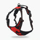 📢📢50% OFF !! ⏰ Adjustable Dual-Clip Harness
