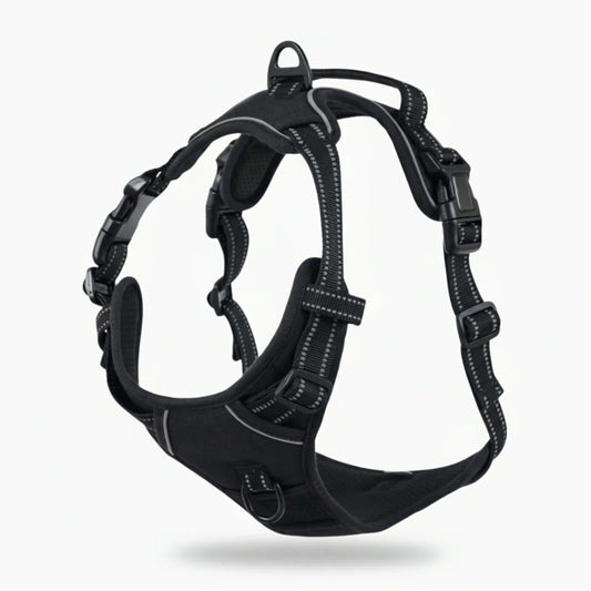 📢📢50% OFF !! ⏰ Adjustable Dual-Clip Harness