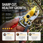🔥Prune Cleanly Instantly! SK5 Heavy-Duty Garden Pruning Shears