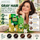 🏆 Last Day Special Price 13.99! 💇‍♀️Long‑Lasting Plant‑Based Foam Hair Dye｜Ammonia‑Free Easy DIY At‑Home Foam Hair Color