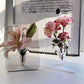 Exclusive 50% OFF | Nordic Transparent Acrylic Vase | Elegant Desktop Plant Holder & Home Decor | Modern Centerpiece for Living Room & Wedding Tables