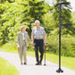 🦯 Dual-Handle Folding Walking Stick: 3-LED Light, Pivoting Base, Adjustable