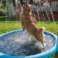 🏊SUMMER HOT SALE 50% OFF NOW! 🌊Foldable Dog Splash Pad🇬🇧 Big Sprinkler Mat for Garden & Beach 🌊☀️ | Non-Slip, Quick-Dry Play Pool for Dogs 🐾 | Folds Flat in Seconds! 🎒🐕