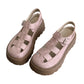 🔥Summer Bestseller🔥Women’s Platform Chunky Sandals & ✈️ Free delivery