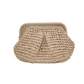 🥳2026 HOT SALE🥳 Handwoven Straw Handbag for Women