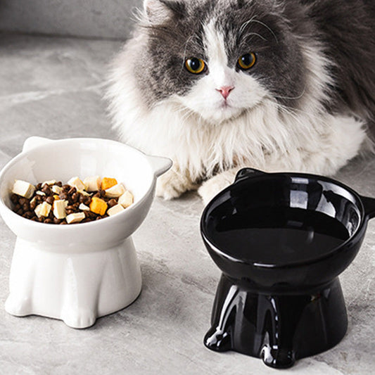 Cute Cat-Ear Design Raised Pet Bowl