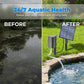 🥳 50% OFF! 🥳 Solar Pond Aerator with Air Pump
