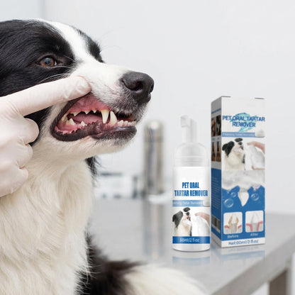 🔥Buy 1 Get 1 Free🔥Pet Oral Care Foaming Tartar Remover