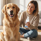 🔥Buy 1 Get 1 Free🔥Pet Oral Care Foaming Tartar Remover
