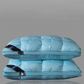 🥳 2026 HOT SALE 🥳 💞 Comfortable & Washable Neck Pillow