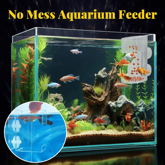 💰 Value Aquarium Feeder Set — Essential Feeding Kit, 🔥Buy 1 Get 1 Free🔥