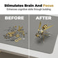 🏆LAST DAY SALE 50% OFF🔥3D Metal Bee Puzzle Assembly Model Kit