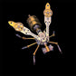 🏆LAST DAY SALE 50% OFF🔥3D Metal Bee Puzzle Assembly Model Kit
