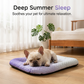 🌞 Summer Pet Cooling Mat — Waterproof, Scratch-Resistant & Perfect for Hot Days