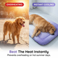 🌞 Summer Pet Cooling Mat — Waterproof, Scratch-Resistant & Perfect for Hot Days