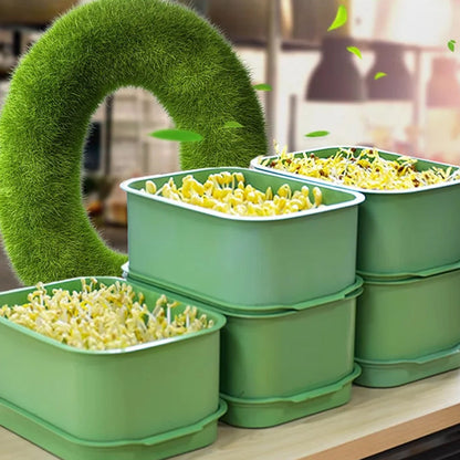 🌱 Stackable Bean Sprout Grower Box with Lid — Soilless Seed Sprouter Tray for Healthy Homegrown Sprouts