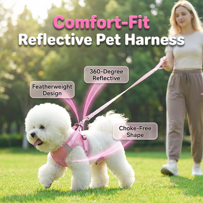 🐾 Breathable Mesh Dog Harness Vest — Lightweight, No-Pull Control & Reflective for Night Walks