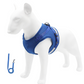 🐾 Breathable Mesh Dog Harness Vest — Lightweight, No-Pull Control & Reflective for Night Walks