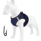 🐾 Breathable Mesh Dog Harness Vest — Lightweight, No-Pull Control & Reflective for Night Walks