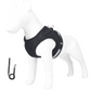 🐾 Breathable Mesh Dog Harness Vest — Lightweight, No-Pull Control & Reflective for Night Walks