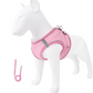 🐾 Breathable Mesh Dog Harness Vest — Lightweight, No-Pull Control & Reflective for Night Walks