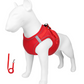 🐾 Breathable Mesh Dog Harness Vest — Lightweight, No-Pull Control & Reflective for Night Walks