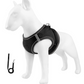 🐾 Breathable Mesh Dog Harness Vest — Lightweight, No-Pull Control & Reflective for Night Walks