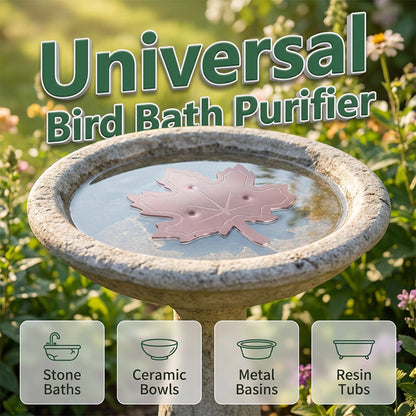 💧 Universal Bird Bath Cleaner with Anti-Algae Formula — Keeps Water Clear & Safe for Birds