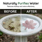 💧 Universal Bird Bath Cleaner with Anti-Algae Formula — Keeps Water Clear & Safe for Birds