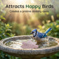 💧 Universal Bird Bath Cleaner with Anti-Algae Formula — Keeps Water Clear & Safe for Birds