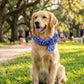 🔥Buy 1 Get 1 Free🔥Summer Pet Cooling Collar Wrap