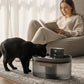 🔋 Cordless Sensor Cat Water Fountain — Battery-Powered, Ideal for Multi-Pet Households