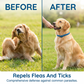 🛡️ Natural Essential Oil Pet Pest Repellent Collar — Repels Fleas, Ticks & Mosquitoes