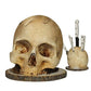 💀 CREATIVE RESIN SKULL KNIFE HOLDER — Gothic Kitchen Storage | Multi-Purpose Organiser | Unique Home Decor 🦴