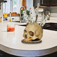 💀 CREATIVE RESIN SKULL KNIFE HOLDER — Gothic Kitchen Storage | Multi-Purpose Organiser | Unique Home Decor 🦴