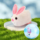 💕 Electric Plush Hamster Rolling Ball Toy for Babies
