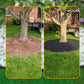🏡 Garden Edging Roll 10m with 30 Pegs — Durable PE Plastic | Easy Cut-to-Size | Neat Lawn Borders