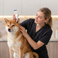 🐾 Gentle Pet Ear Cleaner Solution — Alcohol-Free & Non-Drying | pH-Balanced | For Dogs & Cats