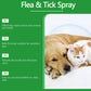 🍃Natural Flea & Tick Foam for Dogs and Cats🐾 Keep Your Beloved Pet Free from Pests