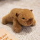 🧲 Cute Magnetic Plush Doll — Soft Fridge Magnet Toy | Adorable Kawaii Design