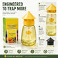 🛡️ Non-Toxic Fly Trap for Indoor Use — Chemical-Free Sticky Paper | No Odor