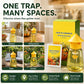 🛡️ Non-Toxic Fly Trap for Indoor Use — Chemical-Free Sticky Paper | No Odor