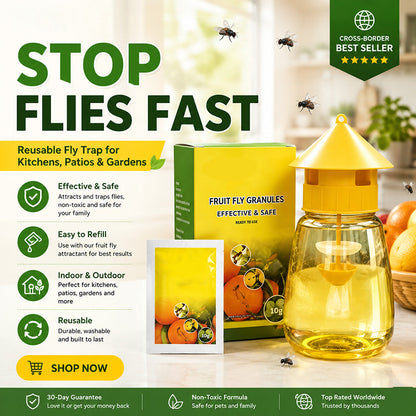 🛡️ Non-Toxic Fly Trap for Indoor Use — Chemical-Free Sticky Paper | No Odor