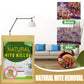 🌿 Natural Mite Control Sachet – Herbal Dust Mite Repellent for Bedding, Sofas & Wardrobes