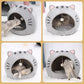 🏕️ 2-In-1 Pet Tent & Pet Bed – Convertible Cat Cave with Removable Cushion, Spacious Hideaway for Cats & Small Dogs 🐾✨