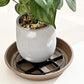 🪴 Root-Saving Plant Saucer with Internal Risers – Elevated Drip Tray for Pots, Prevents Root Rot & Protects Surfaces 🌱✨